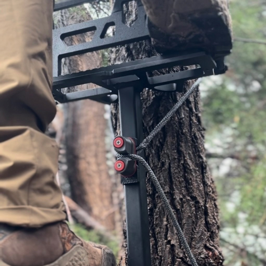 Out On A Limb - Pinch Point