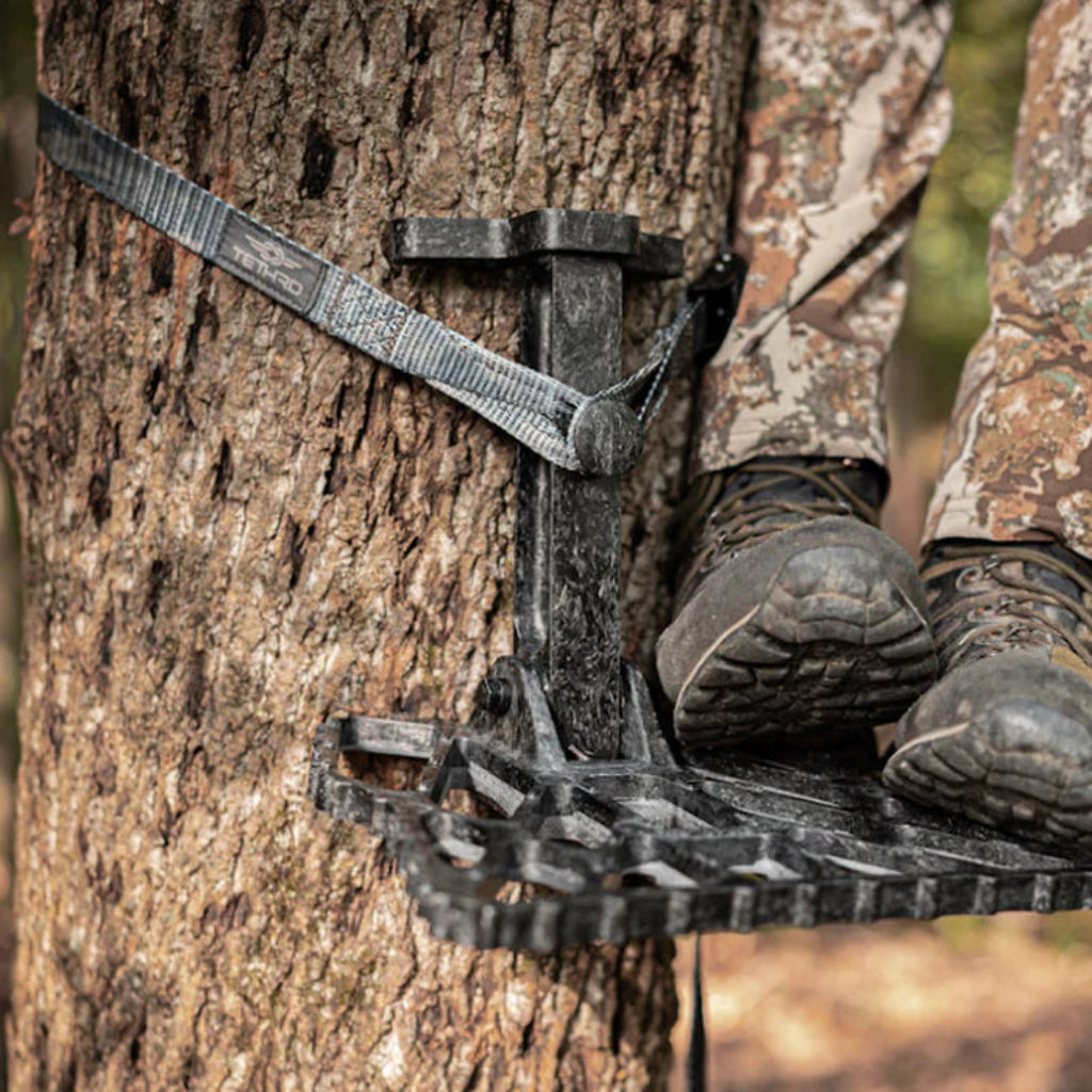 PRED-CFX-REG
